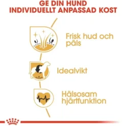 Royal Canin Cocker Adult torrfoder för hund