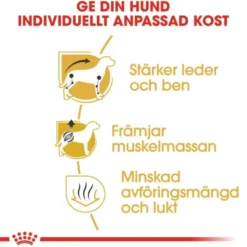 Royal Canin Dachshund Adult torrfoder för hund