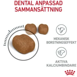 Royal Canin Dental Care Adult torrfoder för katt