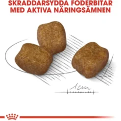 Royal Canin Dental Care Mini Adult torrfoder för hund