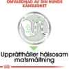 Royal Canin Digestive Care Adult Loaf våtfoder för hund 12x85 g