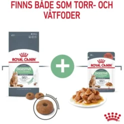 Royal Canin Digestive Care Adult torrfoder för katt