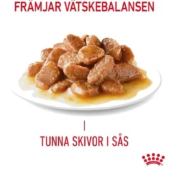 Royal Canin Digestive Care Gravy Adult våtfoder för katt 12 x 85 g