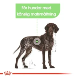 Royal Canin Digestive Care Maxi Adult torrfoder för hund