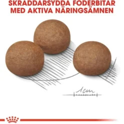 Royal Canin Digestive Care Maxi Adult torrfoder för hund