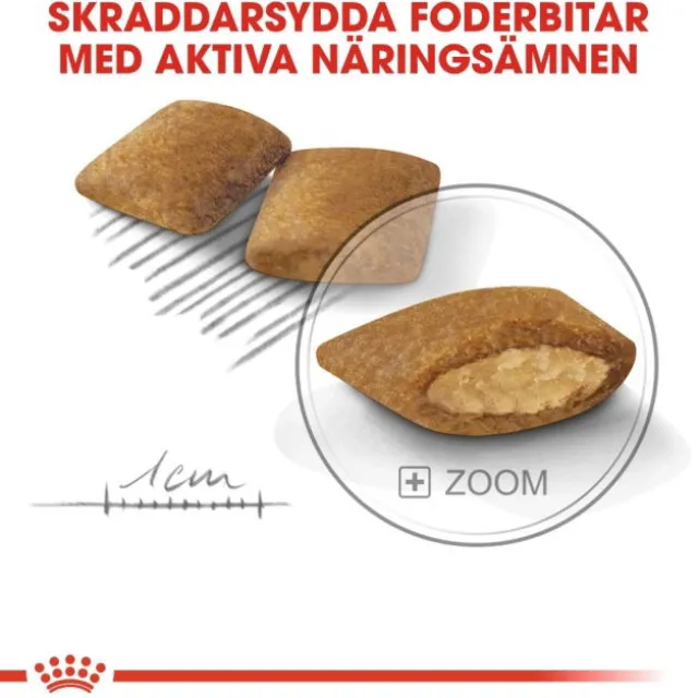 Royal Canin Exigent Mini Adult torrfoder för hund