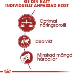 Royal Canin Fit Adult torrfoder för katt