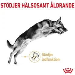 Royal Canin German Shepherd Adult 5+ torrfoder för hund 12 kg