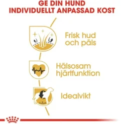 Royal Canin Golden Retriever Adult torrfoder för hund