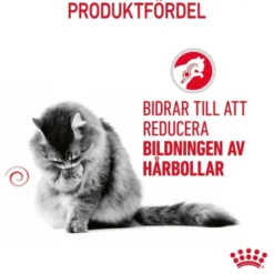 Royal Canin Hairball Care Gravy Adult våtfoder för katt 12 x 85 g