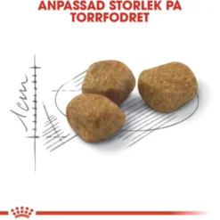 Royal Canin Indoor 7+ Ageing torrfoder för katt