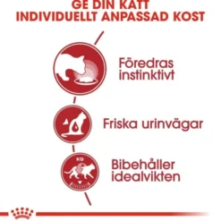 Royal Canin Instinctive Jelly Adult våtfoder för katt 12x85 g