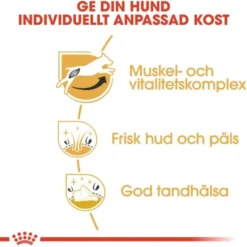 Royal Canin Jack Russel Adult torrfoder för hund