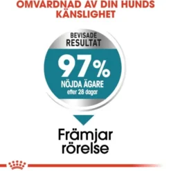 Royal Canin Joint Care Maxi Adult torrfoder för hund