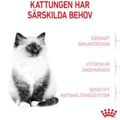 Royal Canin Kitten torrfoder för kattunge