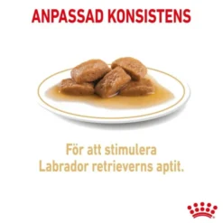 Royal Canin Labrador Retriever Adult Gravy våtfoder för hund 10x140 g