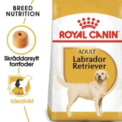 Royal Canin Labrador Retriever Adult torrfoder för hund