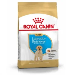 Royal Canin Labrador Retriever Puppy torrfoder för hundvalp