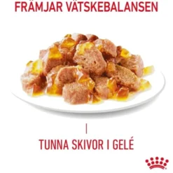 Royal Canin Light Weight Care Jelly Adult våtfoder för katt 12x85 g