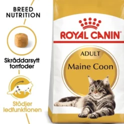 Royal Canin Maine Coon Adult torrfoder för katt
