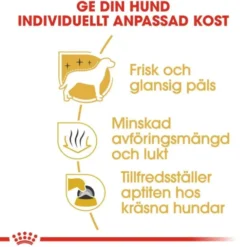 Royal Canin Maltese Adult torrfoder för hund