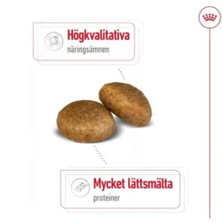 Royal Canin Maxi Adult torrfoder för hund