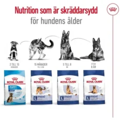 Royal Canin Maxi Adult torrfoder för hund