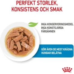 Royal Canin Maxi Puppy Gravy våtfoder för hundvalp 10x140g