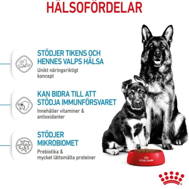 Royal Canin Maxi Starter torrfoder för hund och hundvalp