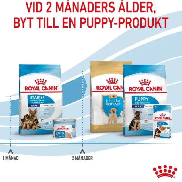 Royal Canin Maxi Starter torrfoder för hund och hundvalp