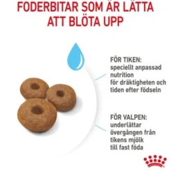 Royal Canin Maxi Starter torrfoder för hund och hundvalp