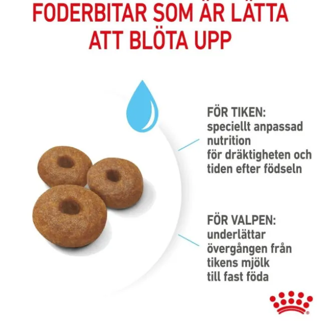 Royal Canin Maxi Starter torrfoder för hund och hundvalp