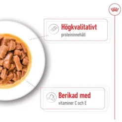Royal Canin Medium Adult Gravy våtfoder för hund 10x140g