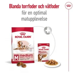 Royal Canin Medium Ageing 10+ torrfoder för hund