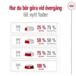 Royal Canin Medium Ageing 10+ torrfoder för hund