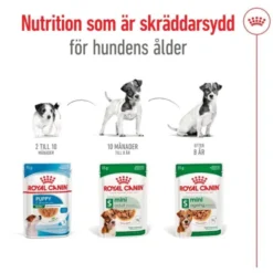 Royal Canin Mini Adult Gravy våtfoder för hund 12x85g