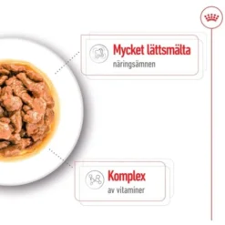 Royal Canin Mini Adult Gravy våtfoder för hund 12x85g