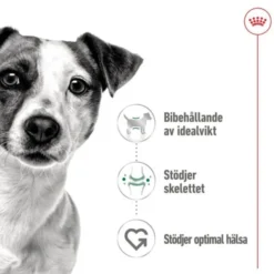 Royal Canin Mini Adult Loaf våtfoder för hund 195 g