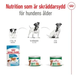 Royal Canin Mini Adult Loaf våtfoder för hund 195 g