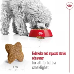 Royal Canin Mini Adult torrfoder för hund
