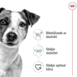 Royal Canin Mini Adult torrfoder för hund