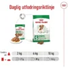 Royal Canin Mini Ageing Gravy våtfoder för hund 12x85g