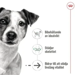 Royal Canin Mini Ageing Gravy våtfoder för hund 12x85g