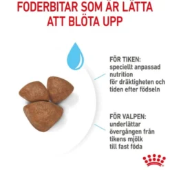 Royal Canin Mini Starter torrfoder för hund och hundvalp