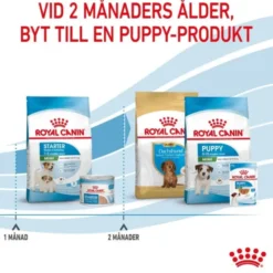 Royal Canin Mini Starter torrfoder för hund och hundvalp
