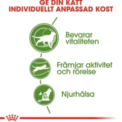 Royal Canin Outdoor 7+ Ageing torrfoder för katt