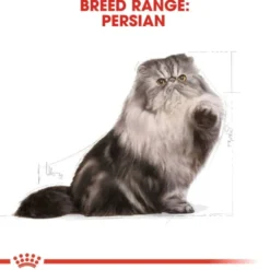 Royal Canin Persian Adult torrfoder för katt