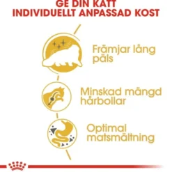 Royal Canin Persian Adult torrfoder för katt