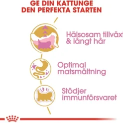 Royal Canin Persian Kitten torrfoder för kattunge