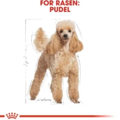 Royal Canin Poodle Adult torrfoder för hund